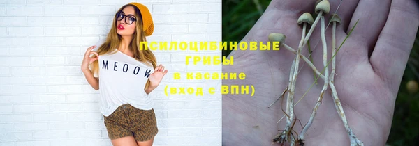 бошки Аркадак