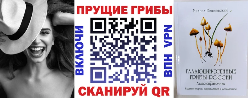 купить наркотики сайты  Поронайск  это наркотические препараты  Галлюциногенные грибы Psilocybine cubensis 