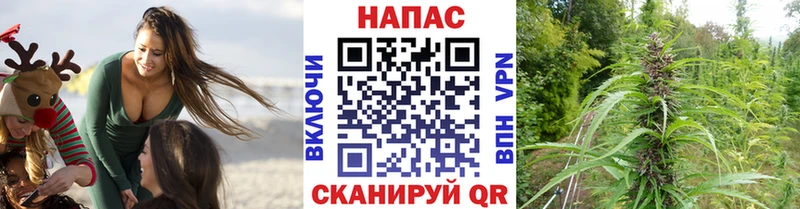 Бошки Шишки LSD WEED  даркнет формула  Поронайск 